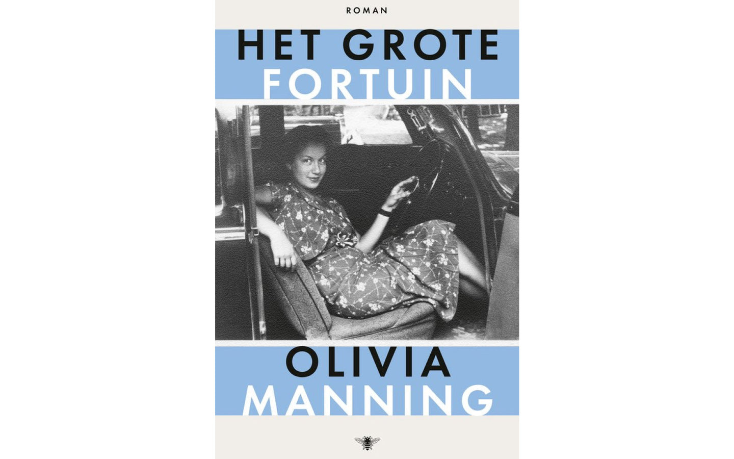 Het grote fortuin - afbeelding 1