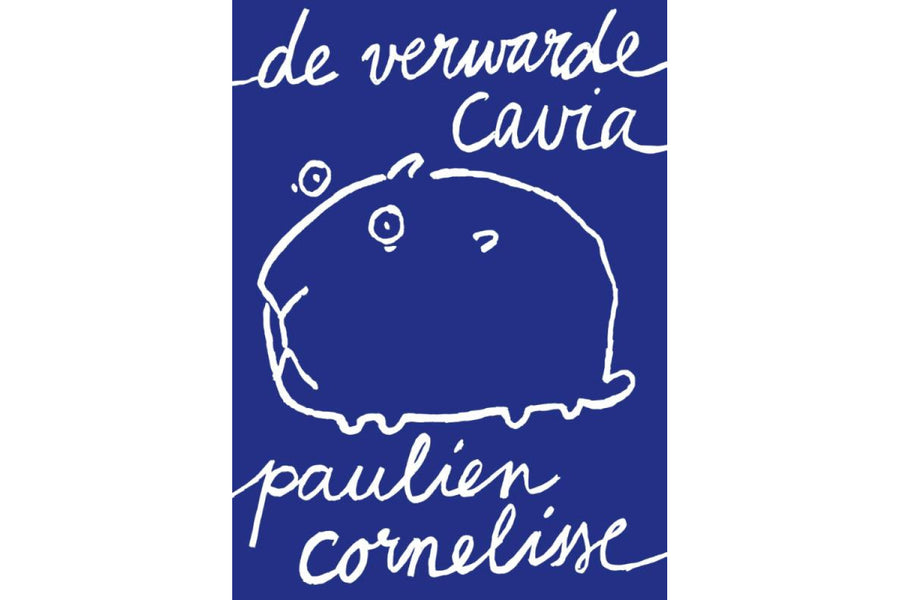 De verwarde cavia - afbeelding 1