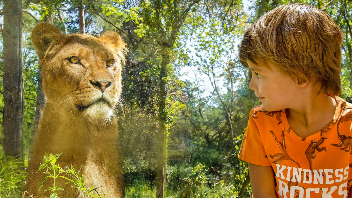 DierenPark Amersfoort - afbeelding 9