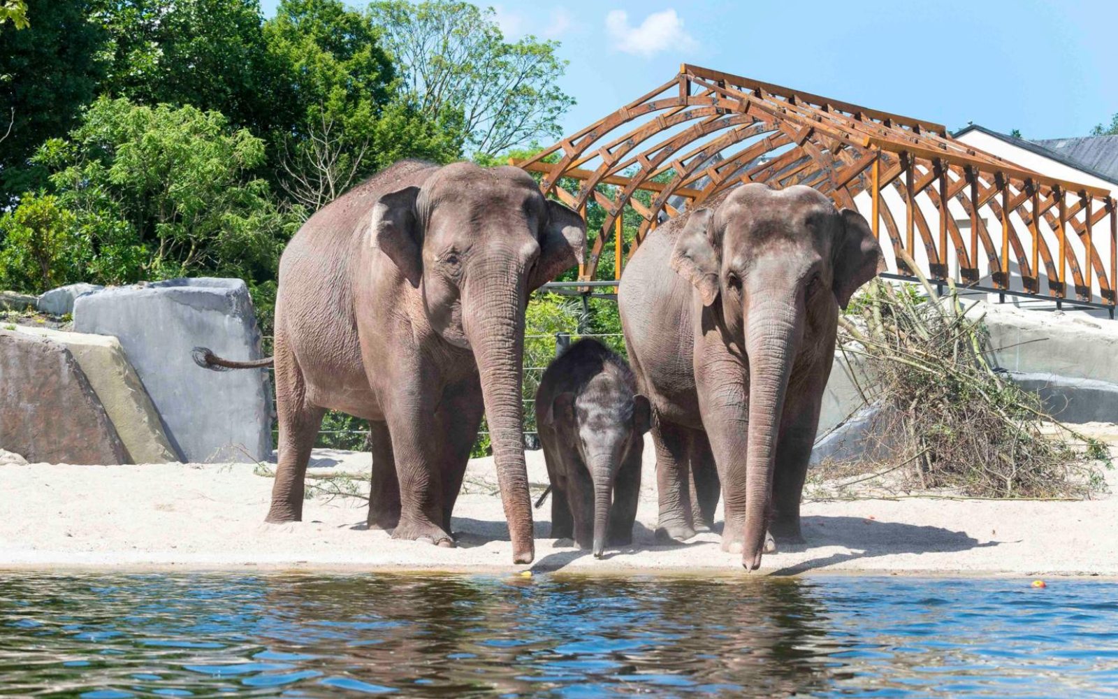 ARTIS-Park tickets met korting - afbeelding 1