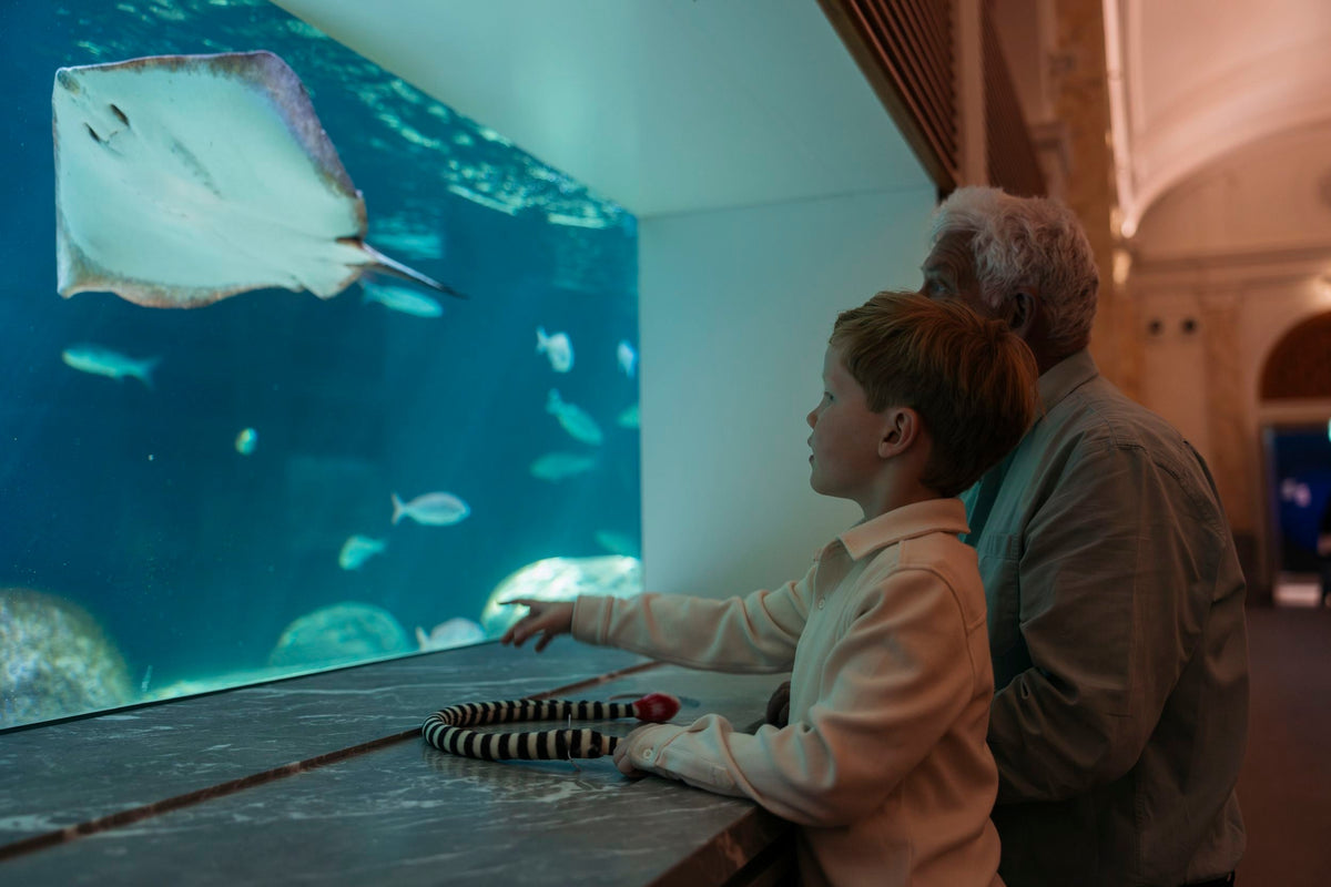 ARTIS-Park tickets met korting - afbeelding 11