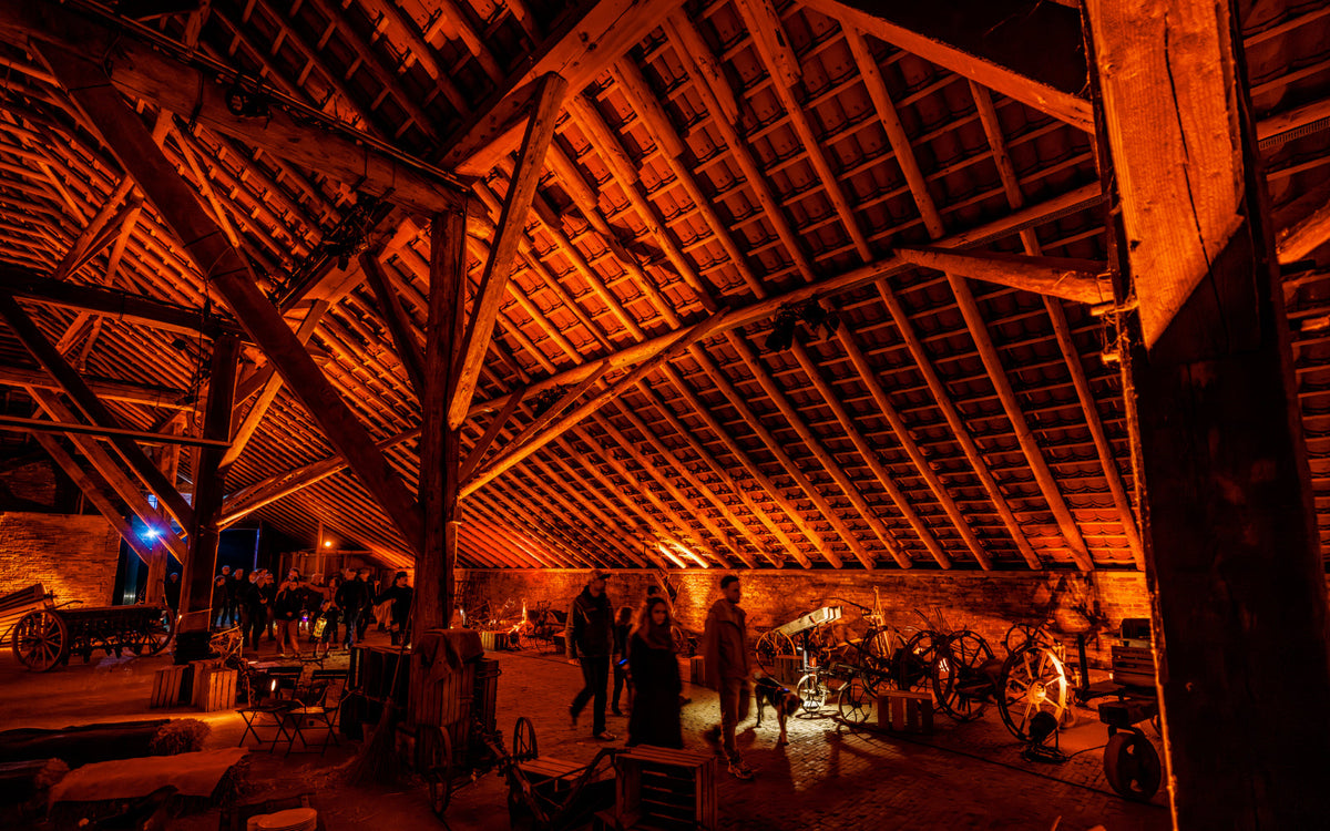 Nederlands Openluchtmuseum Uitgelicht - afbeelding 22