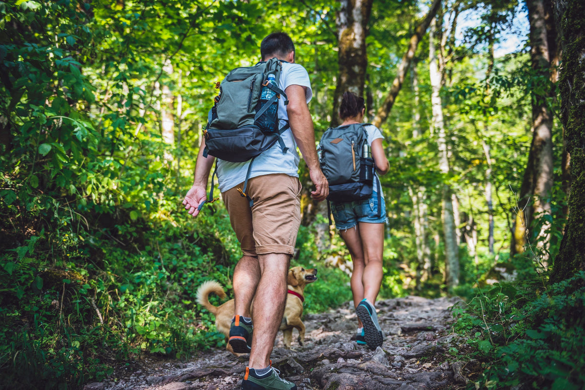 Hotel Wander | 4-Daagse wandelvakantie (ca. 55 km) over Veluwse heide & langs Kasteel Doorwerth | incl. 3-gangendiner - afbeelding 2