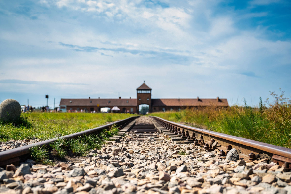 5 daagse busreis Krakau - afbeelding 5