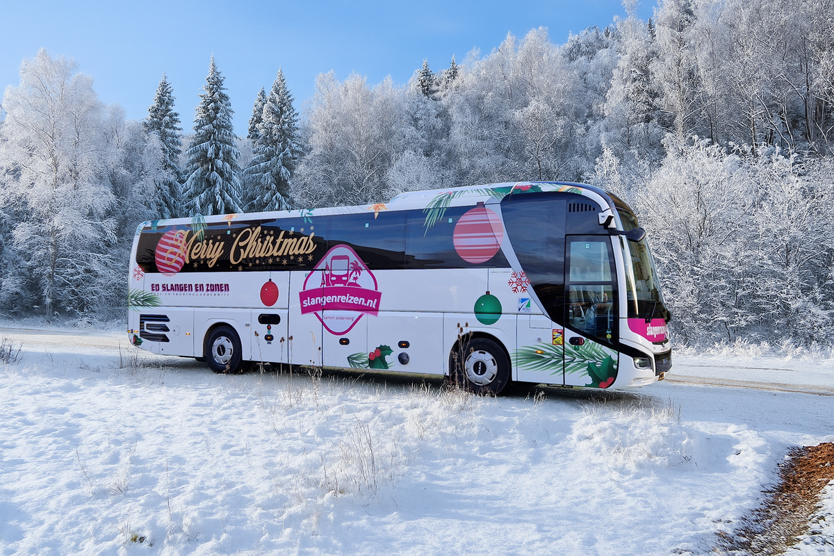  Een dagje kerstshoppen in Düsseldorf - afbeelding 3